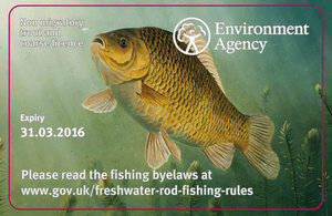 2015 rod licence.jpg